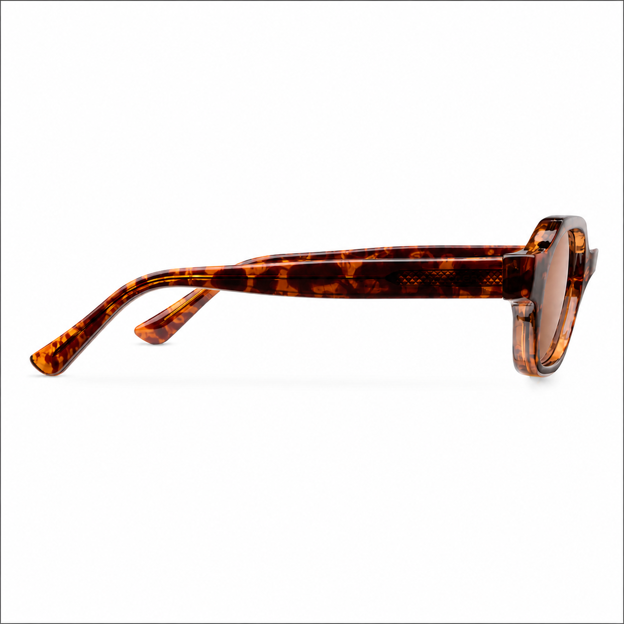 tigris-brown