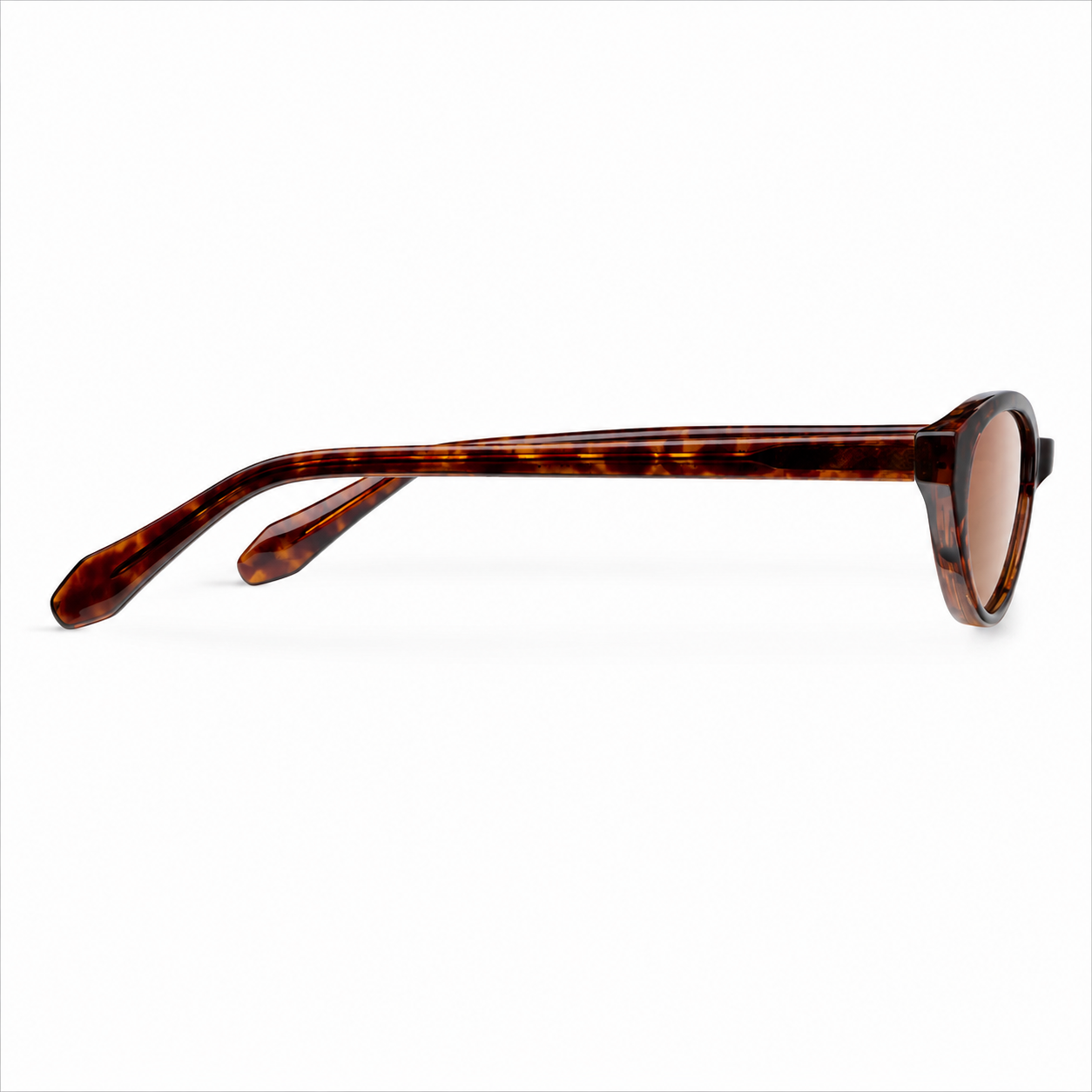tigris-brown