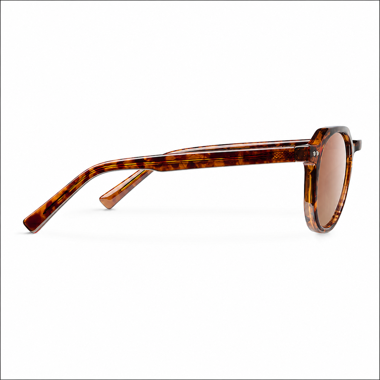 tigris-brown