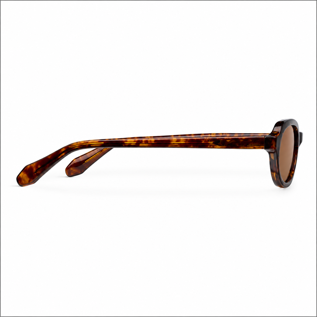 tigris-brown